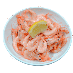 Gambas Frescas da Costa